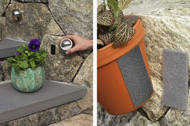 Plant pot velcroed to wall